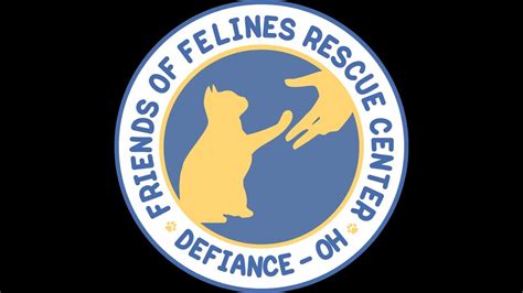friends of felines rescue center